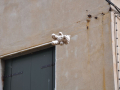regi_0102.jpg