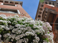 regi_0200.jpg