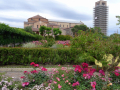 christa_14-P1040255.JPG