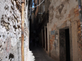 regi_0341.jpg