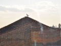 regi_0364.jpg