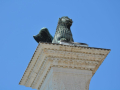 regi_0420.jpg