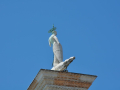 regi_0431.jpg